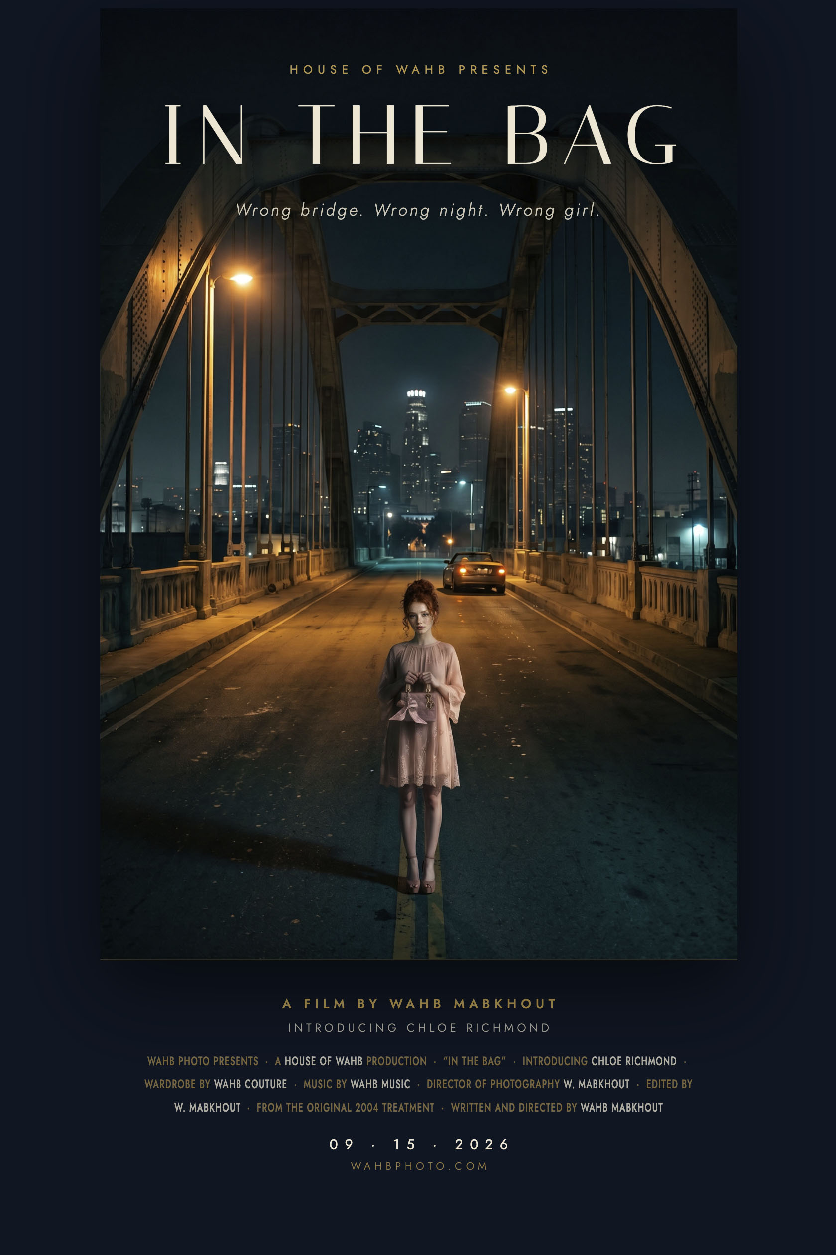 In The Bag — one-sheet poster